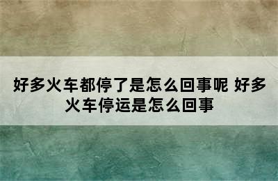 好多火车都停了是怎么回事呢 好多火车停运是怎么回事